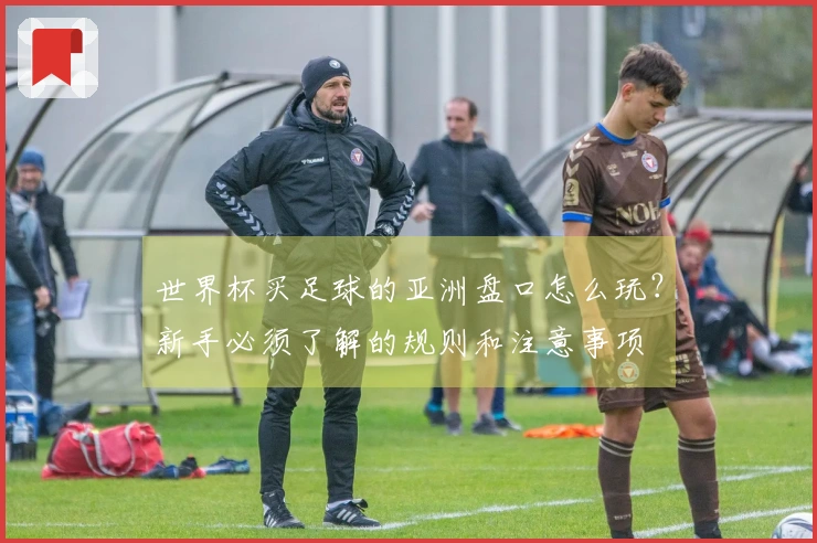 世界杯买足球的亚洲盘口怎么玩？新手必须了解的规则和注意事项