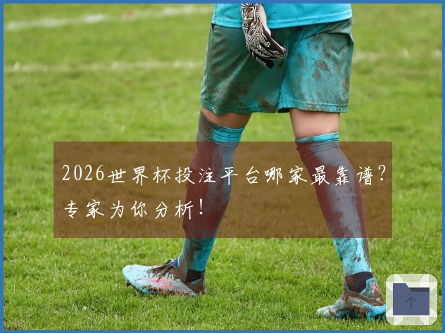 2026世界杯投注平台哪家最靠谱？专家为你分析！