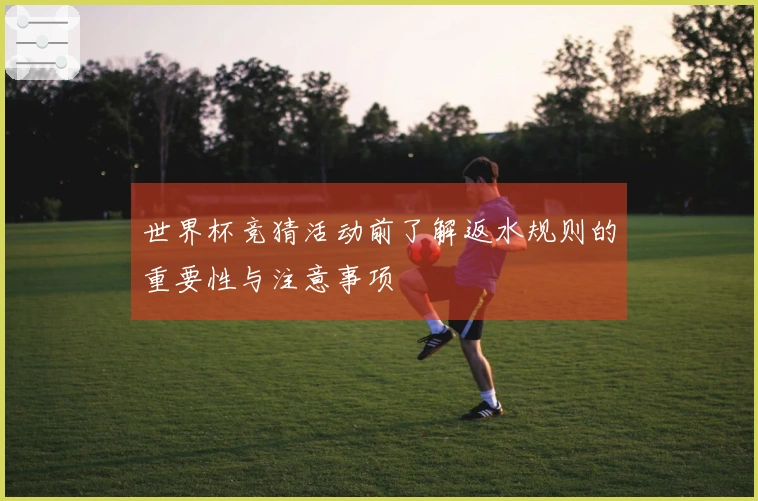 世界杯竞猜活动前了解返水规则的重要性与注意事项
