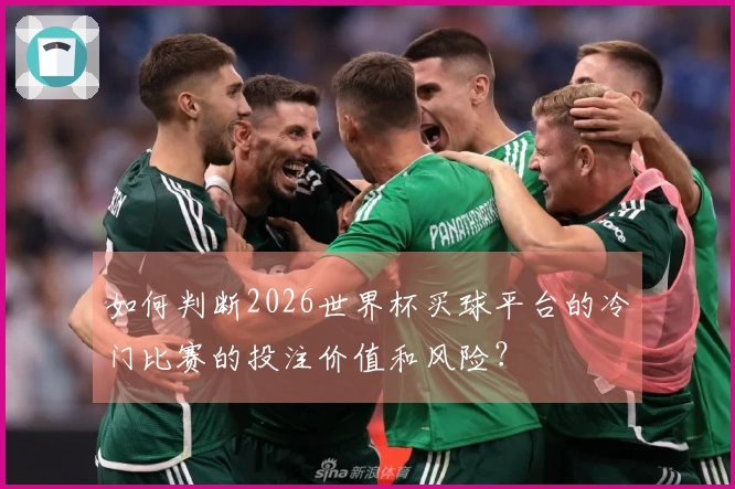 如何判断2026世界杯买球平台的冷门比赛的投注价值和风险?