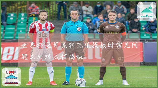 世界杯冠军竞猜充值提款时常见问题及处理流程揭秘