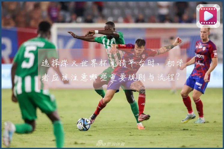 选择烽火世界杯竞猜平台时，初学者应该注意哪些重要规则与流程？