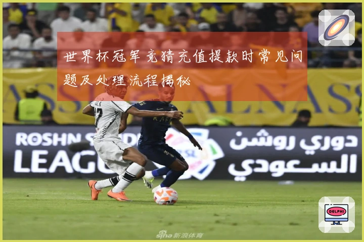 世界杯冠军竞猜充值提款时常见问题及处理流程揭秘