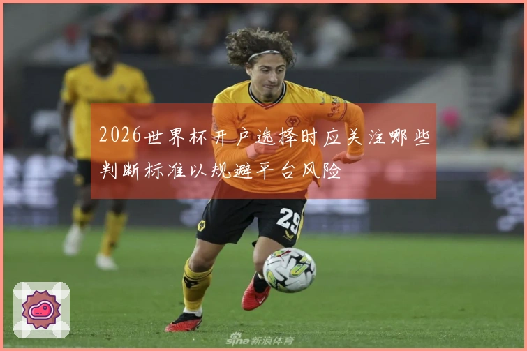 2026世界杯开户选择时应关注哪些判断标准以规避平台风险