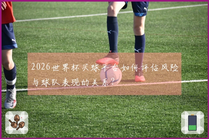 2026世界杯买球平台如何评估风险与球队表现的关系？