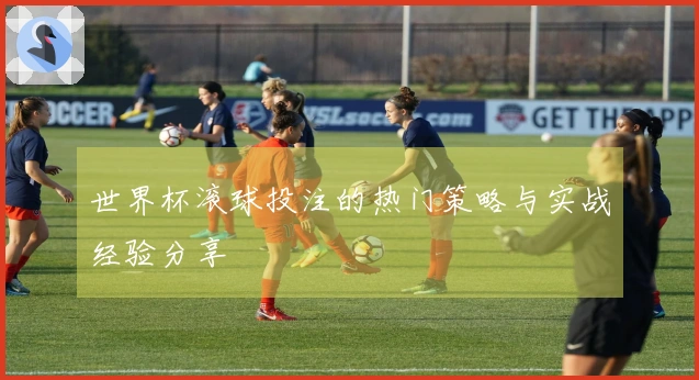 世界杯滚球投注的热门策略与实战经验分享