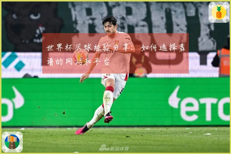 世界杯买球经验分享：如何选择靠谱的网站和平台