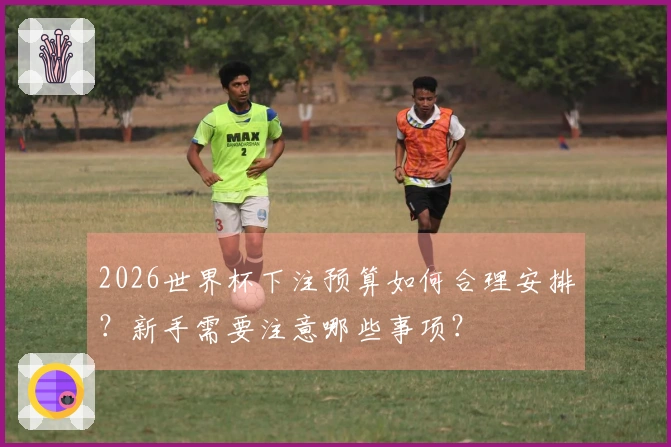 2026世界杯下注预算如何合理安排？新手需要注意哪些事项？