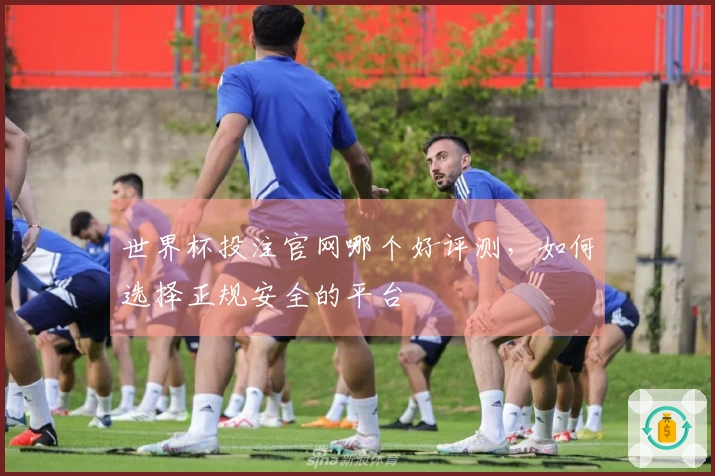 世界杯投注官网哪个好评测，如何选择正规安全的平台
