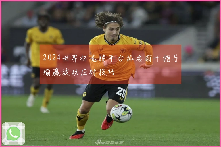 2024世界杯竞猜平台排名前十指导输赢波动应对技巧