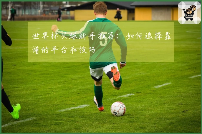 世界杯买球新手推荐：如何选择靠谱的平台和技巧