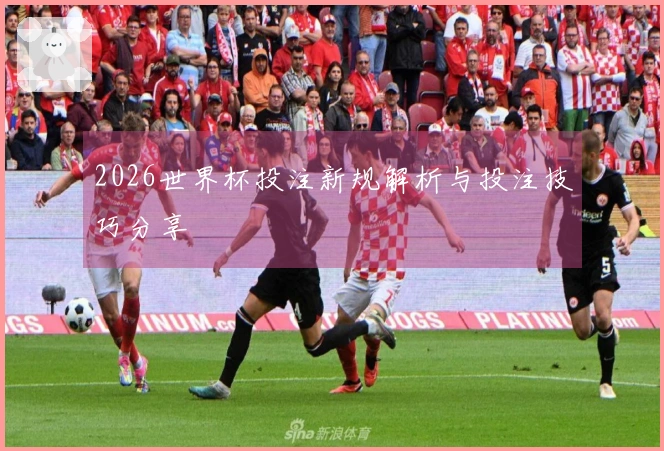 2026世界杯投注新规解析与投注技巧分享