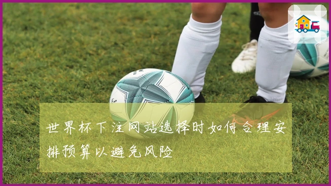 世界杯下注网站选择时如何合理安排预算以避免风险