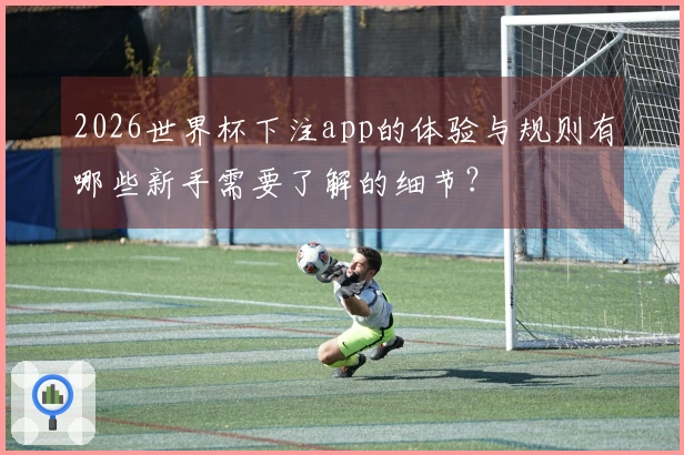 2026世界杯下注app的体验与规则有哪些新手需要了解的细节？