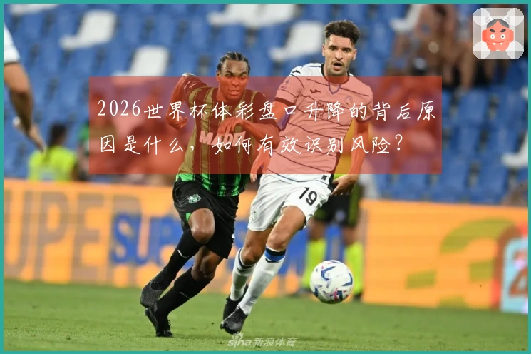 2026世界杯体彩盘口升降的背后原因是什么，如何有效识别风险？