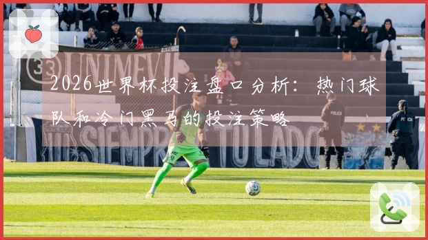 2026世界杯投注盘口分析：热门球队和冷门黑马的投注策略