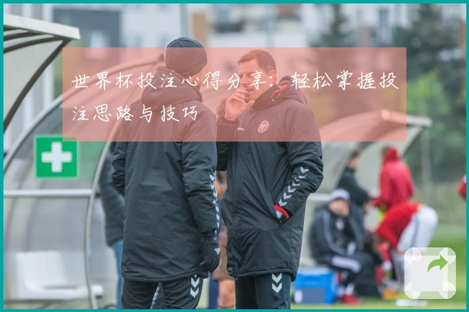 世界杯投注心得分享：轻松掌握投注思路与技巧