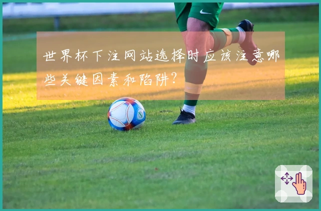 世界杯下注网站选择时应该注意哪些关键因素和陷阱？