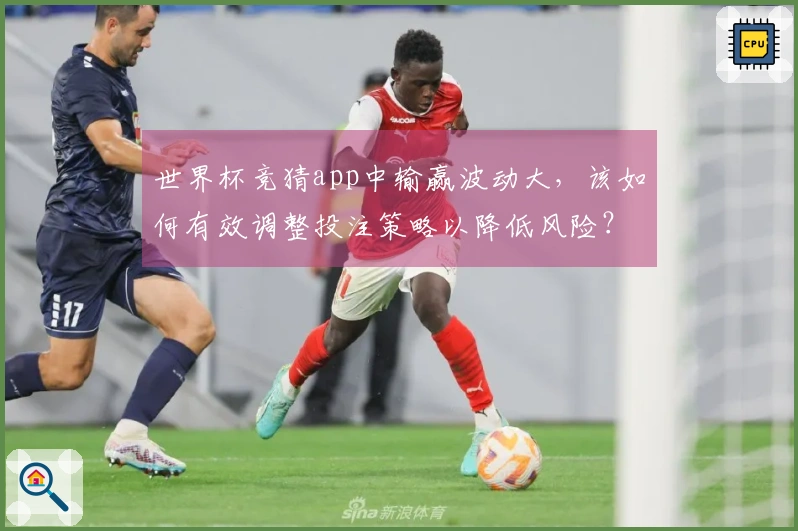 世界杯竞猜app中输赢波动大，该如何有效调整投注策略以降低风险？