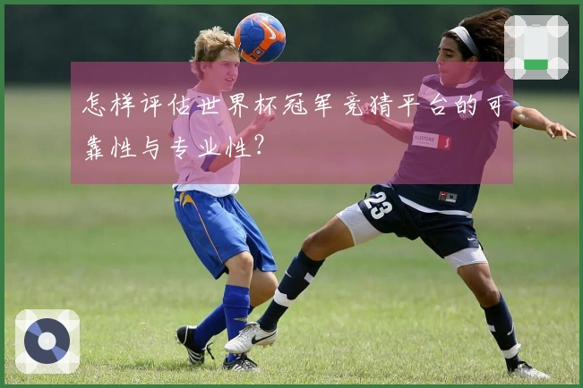 怎样评估世界杯冠军竞猜平台的可靠性与专业性?