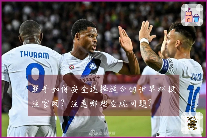 新手如何安全选择适合的世界杯投注官网？注意哪些合规问题？