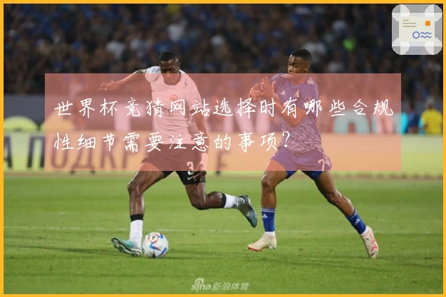 世界杯竞猜网站选择时有哪些合规性细节需要注意的事项？