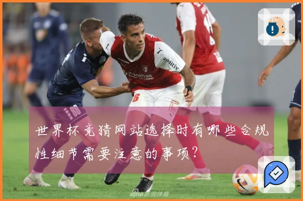 世界杯竞猜网站选择时有哪些合规性细节需要注意的事项？