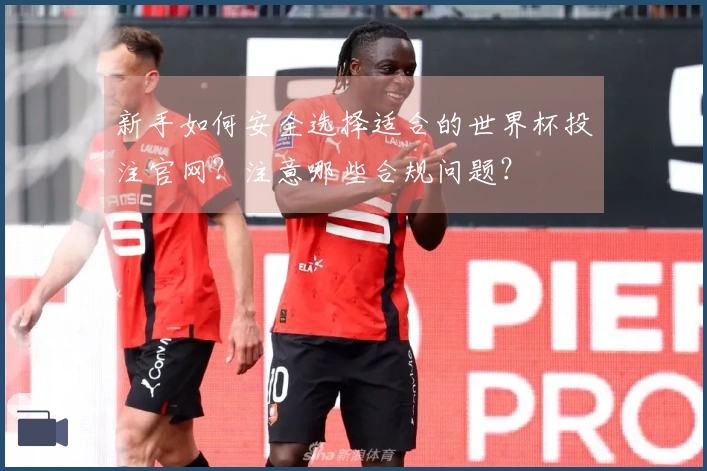 新手如何安全选择适合的世界杯投注官网？注意哪些合规问题？