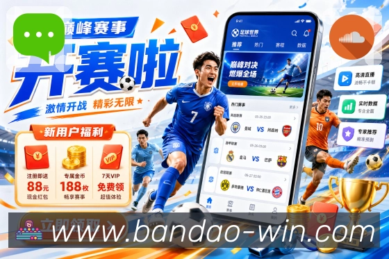 bandao 品牌合作